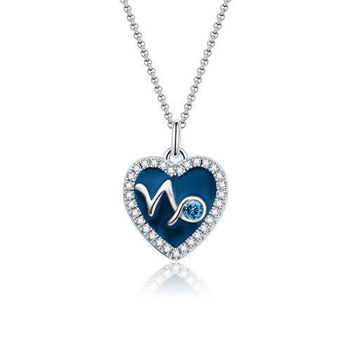 Capricornus - Personalized Heart Photo  Necklace