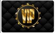 VIP Service