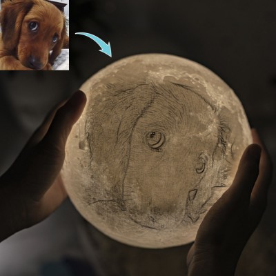 Personalized Moon Lamp 3D Photo Moonlight Touch Home Decor For Pet Dog Cat